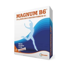 INPHARM Magnum B6 20 kesica